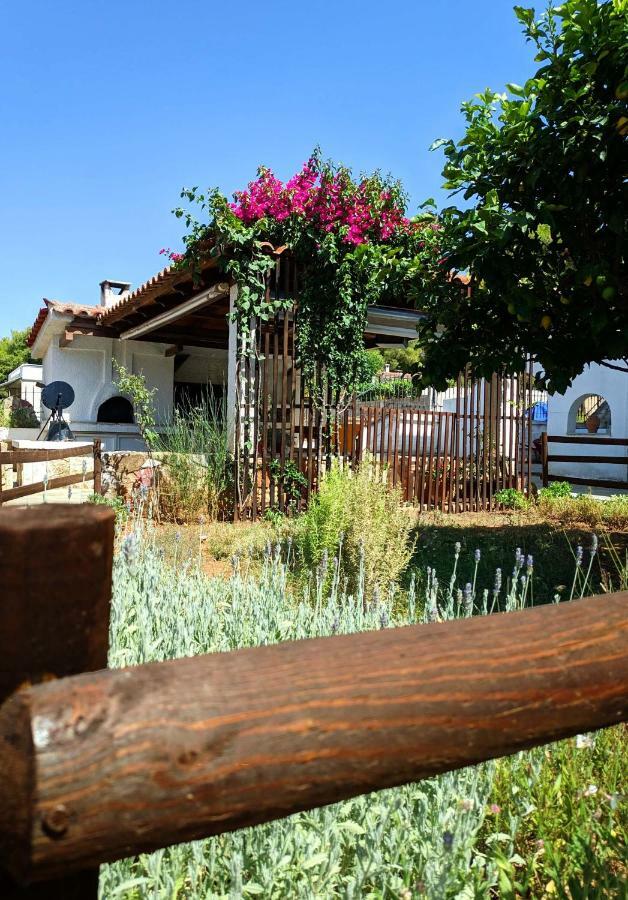 Koel Country House Ano Almiri Dış mekan fotoğraf